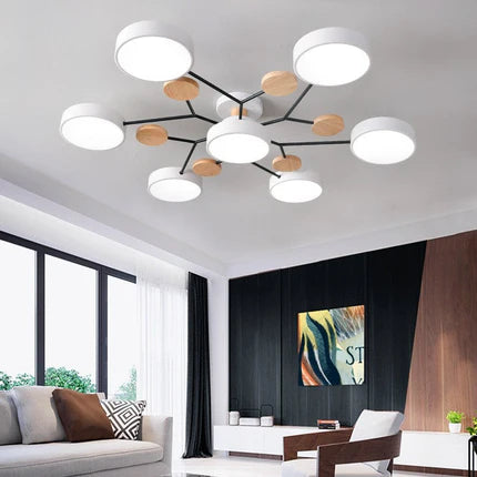 Verdant Canopy Ceiling Light – LED Ceiling Light Nordic Modern Living Room Decor