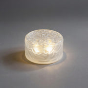 Ripple Glass Solar Step Lights – Waterproof LED Outdoor Pathway and Garden Fixtures