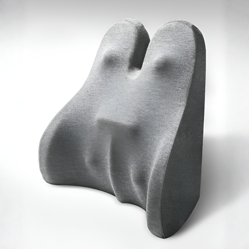 Bunnelle Back Support Pillow – Memory Foam Lumbar Cushion Ergonomic Office Chair Home Bed Mesh Cover