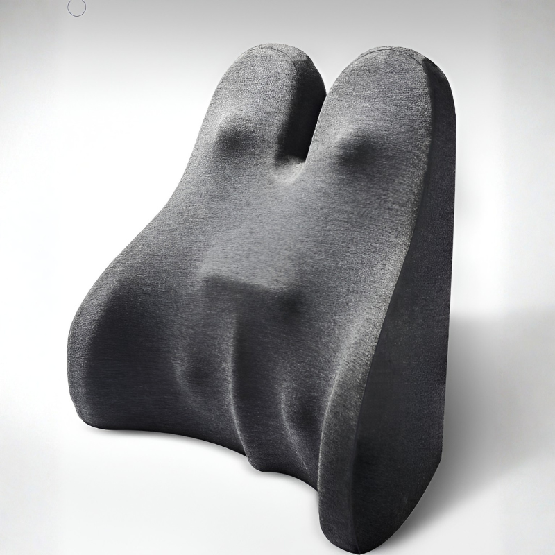 Bunnelle Back Support Pillow – Memory Foam Lumbar Cushion Ergonomic Office Chair Home Bed Mesh Cover