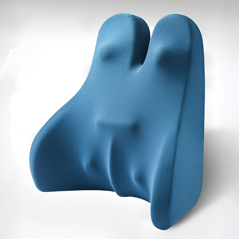 Bunnelle Back Support Pillow – Memory Foam Lumbar Cushion Ergonomic Office Chair Home Bed Mesh Cover