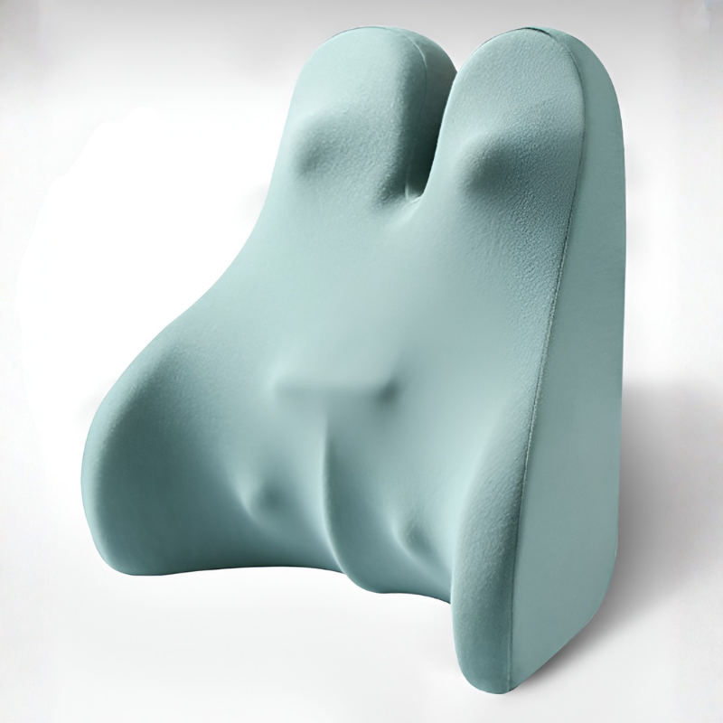 Bunnelle Back Support Pillow – Memory Foam Lumbar Cushion Ergonomic Office Chair Home Bed Mesh Cover