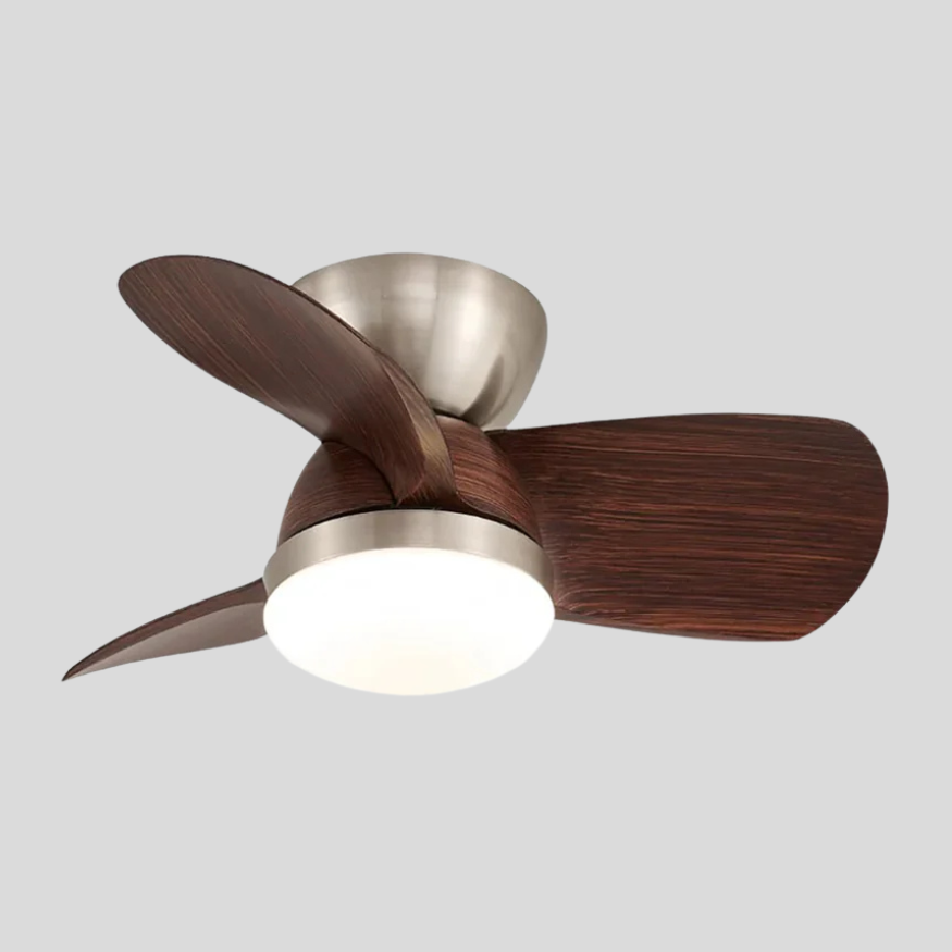 Ruse Pond Ceiling Fan Light – LED Ceiling Fan Light