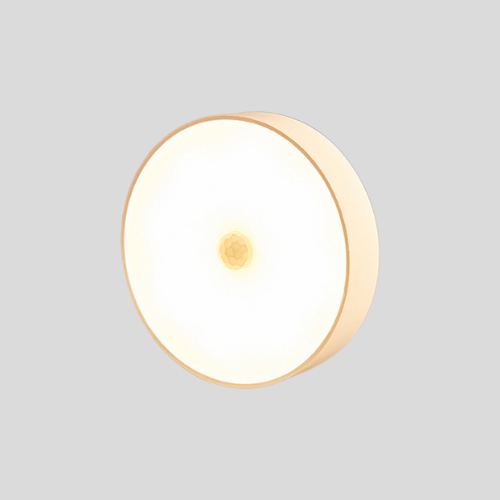 Quiet Dot Motion Light – Motion Sensor LED Disk Lighting Fixture