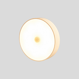 Quiet Dot Motion Light – Motion Sensor LED Disk Lighting Fixture