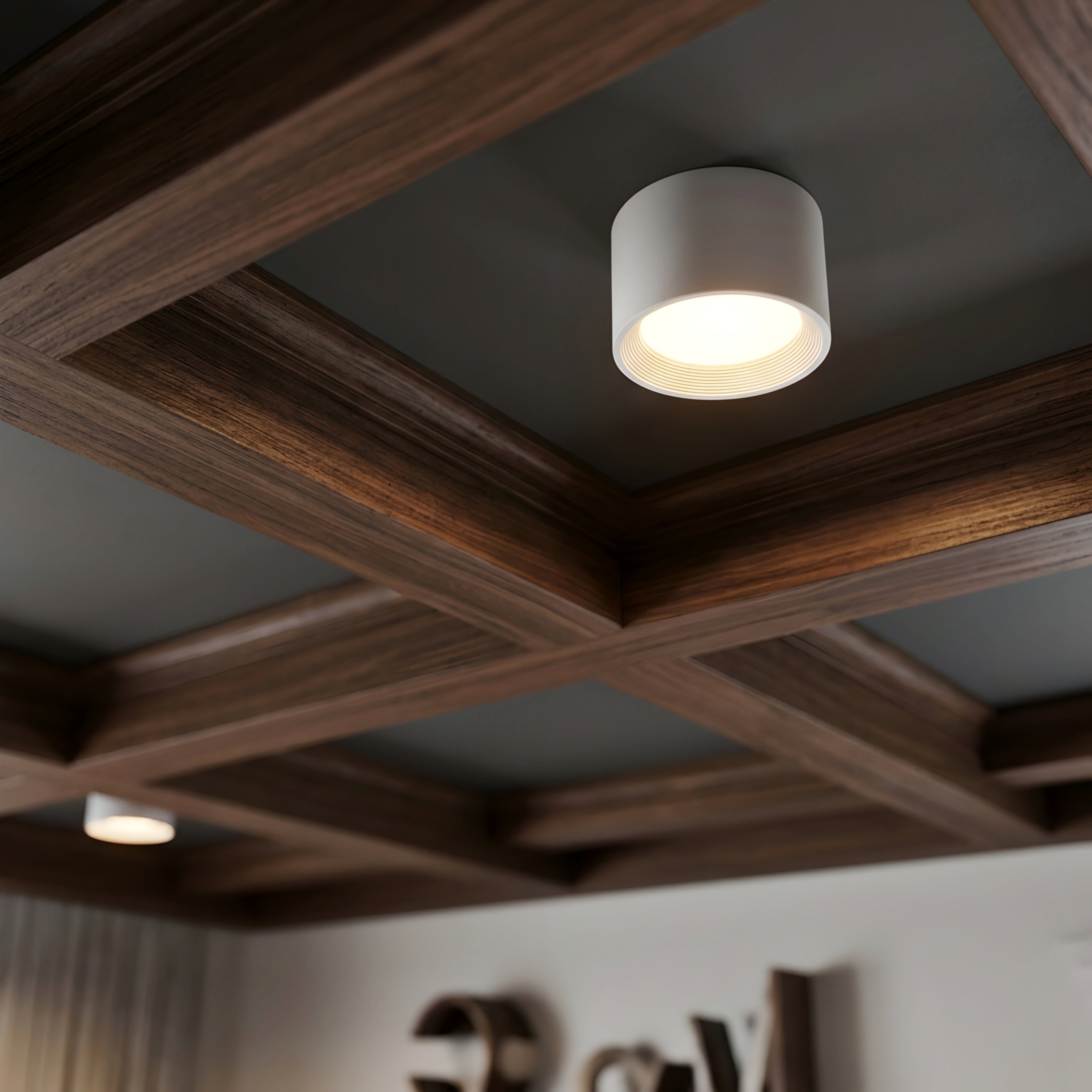 Luxora Cylinder Ceiling Light – Surface Mount Downlight Modern Black Flush Mount Ceiling Fixture