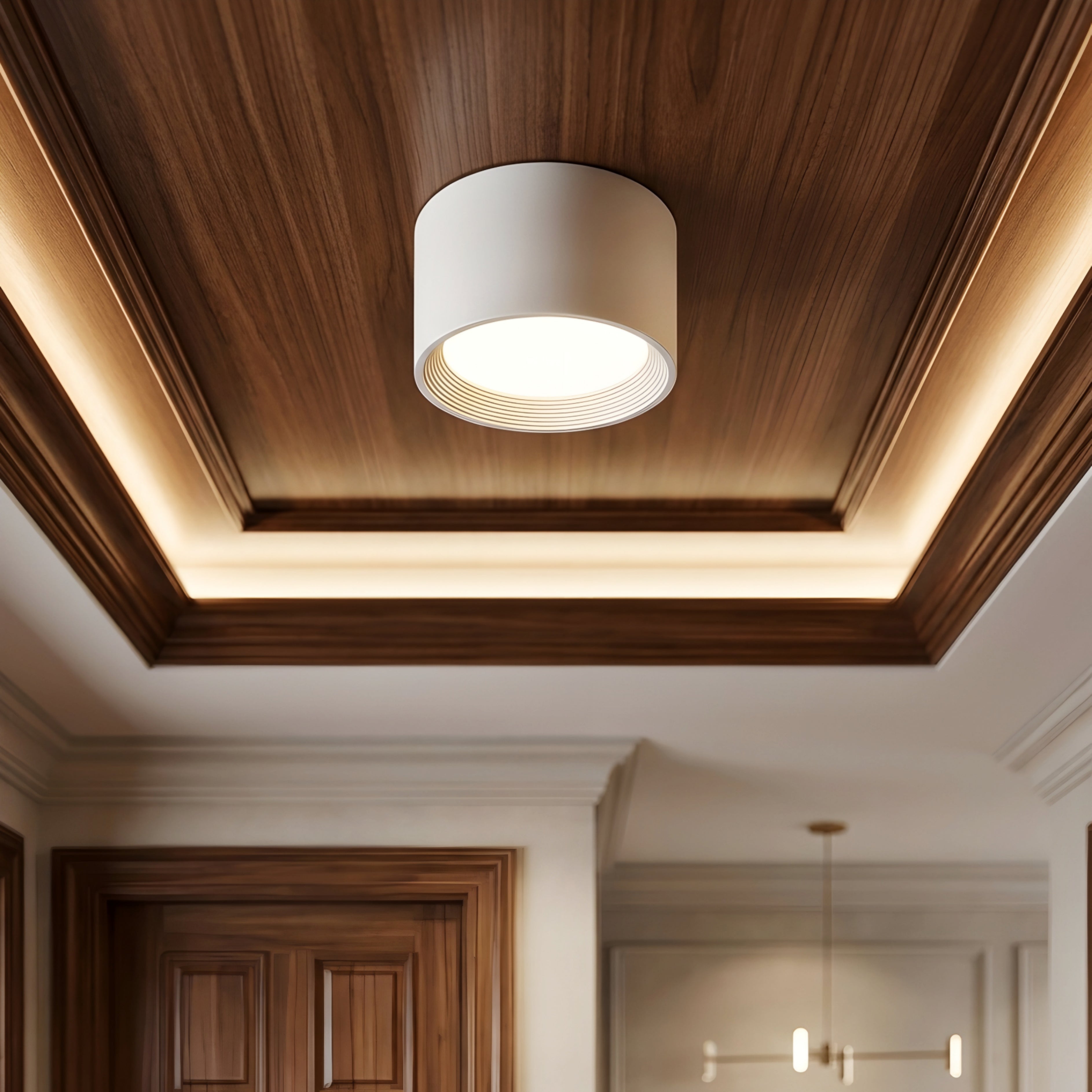 Luxora Cylinder Ceiling Light – Surface Mount Downlight Modern Black Flush Mount Ceiling Fixture