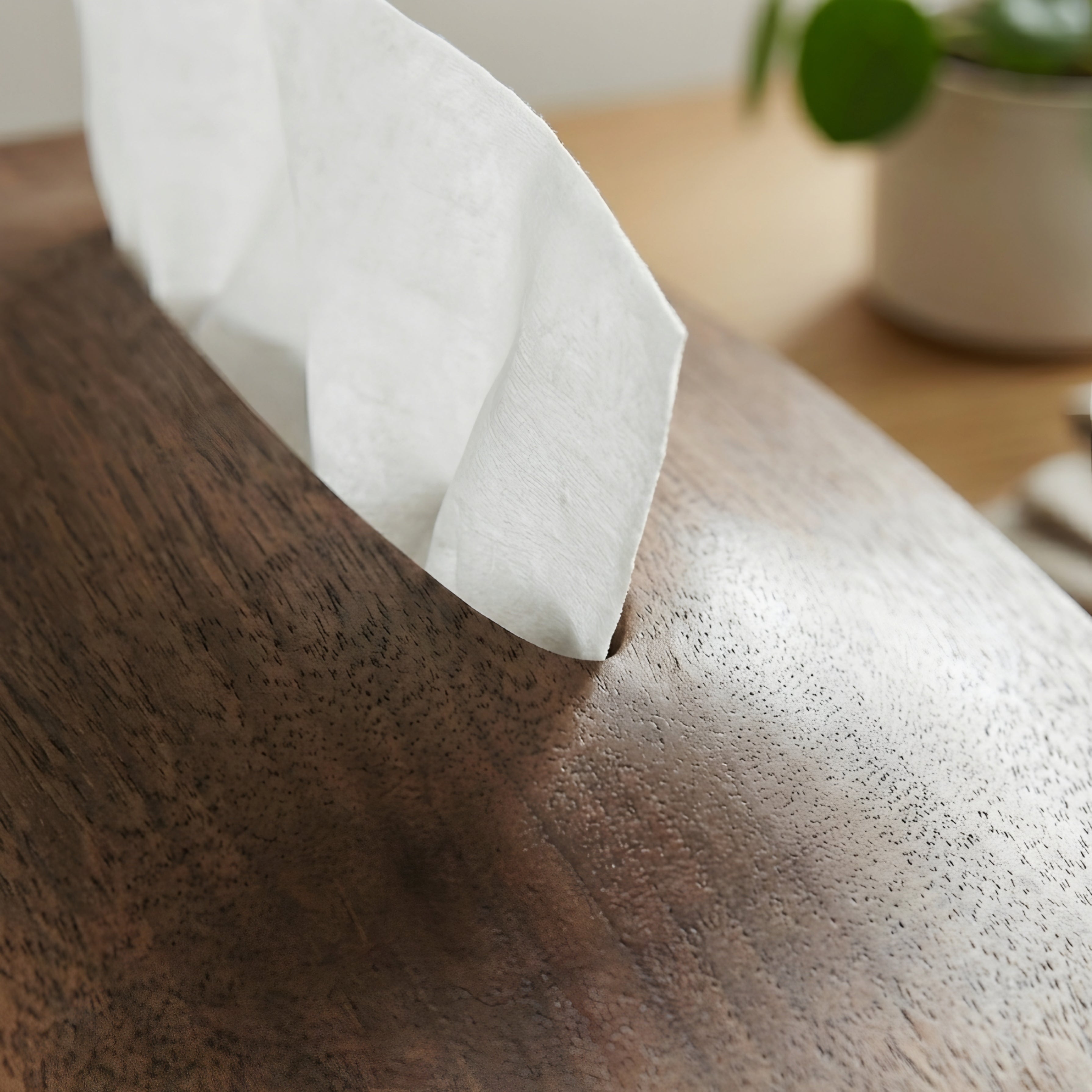Corvex Walnut Tissue Box Cover – Sculptural Solid Wood Magnetic Holder Modern Living Room Bedroom Decor