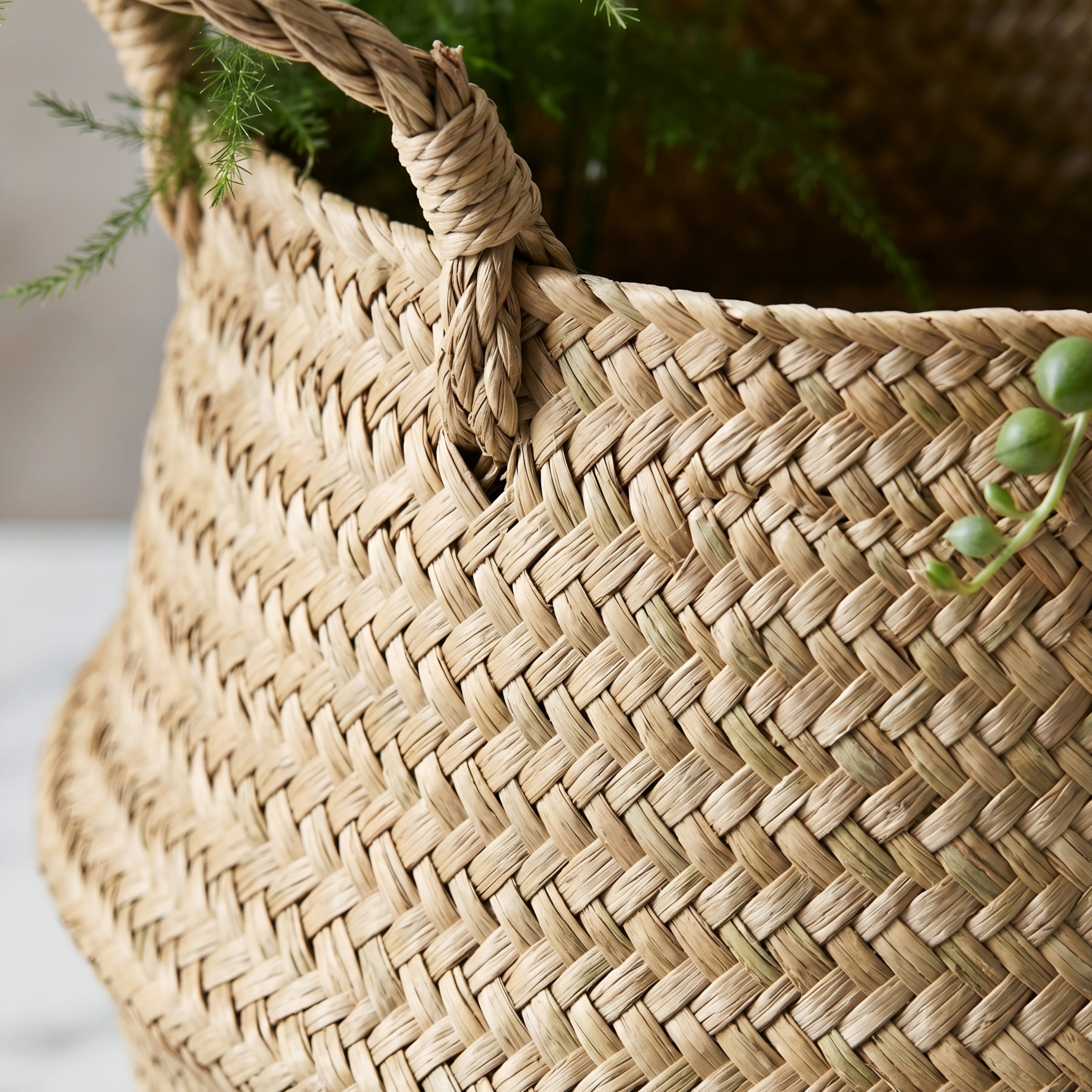 Kovan Seagrass Belly Basket – Handwoven Natural Storage Planter Decorative Living Room Bedroom Organizer