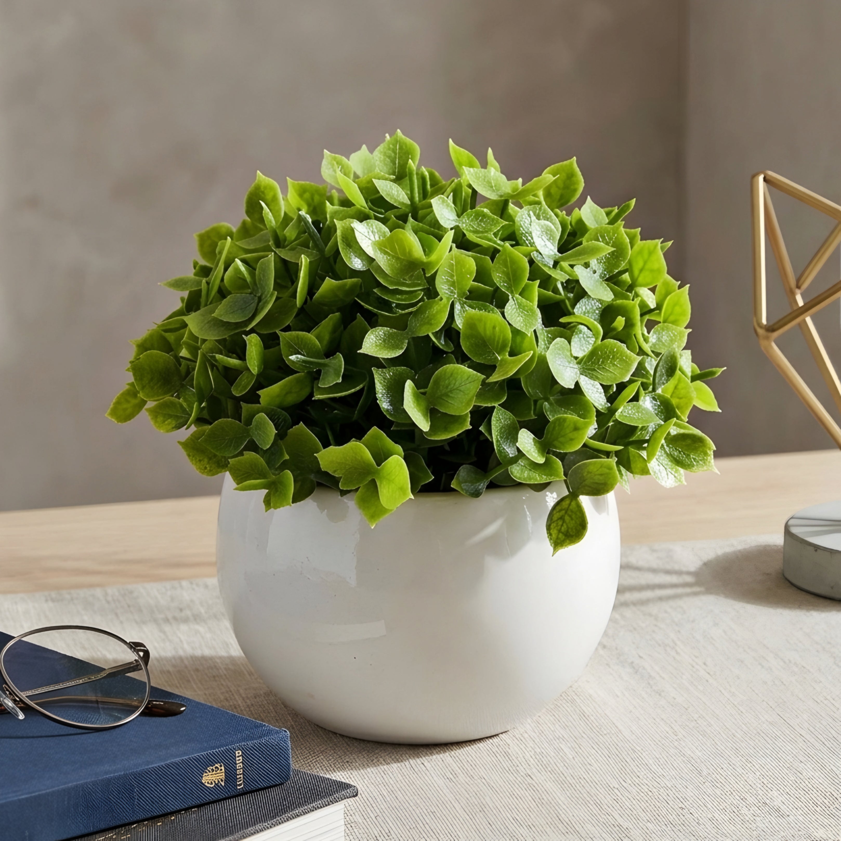 Fernwick Potted Faux Plant – Artificial Boxwood Bonsai Decorative Greenery Office Desk Living Room