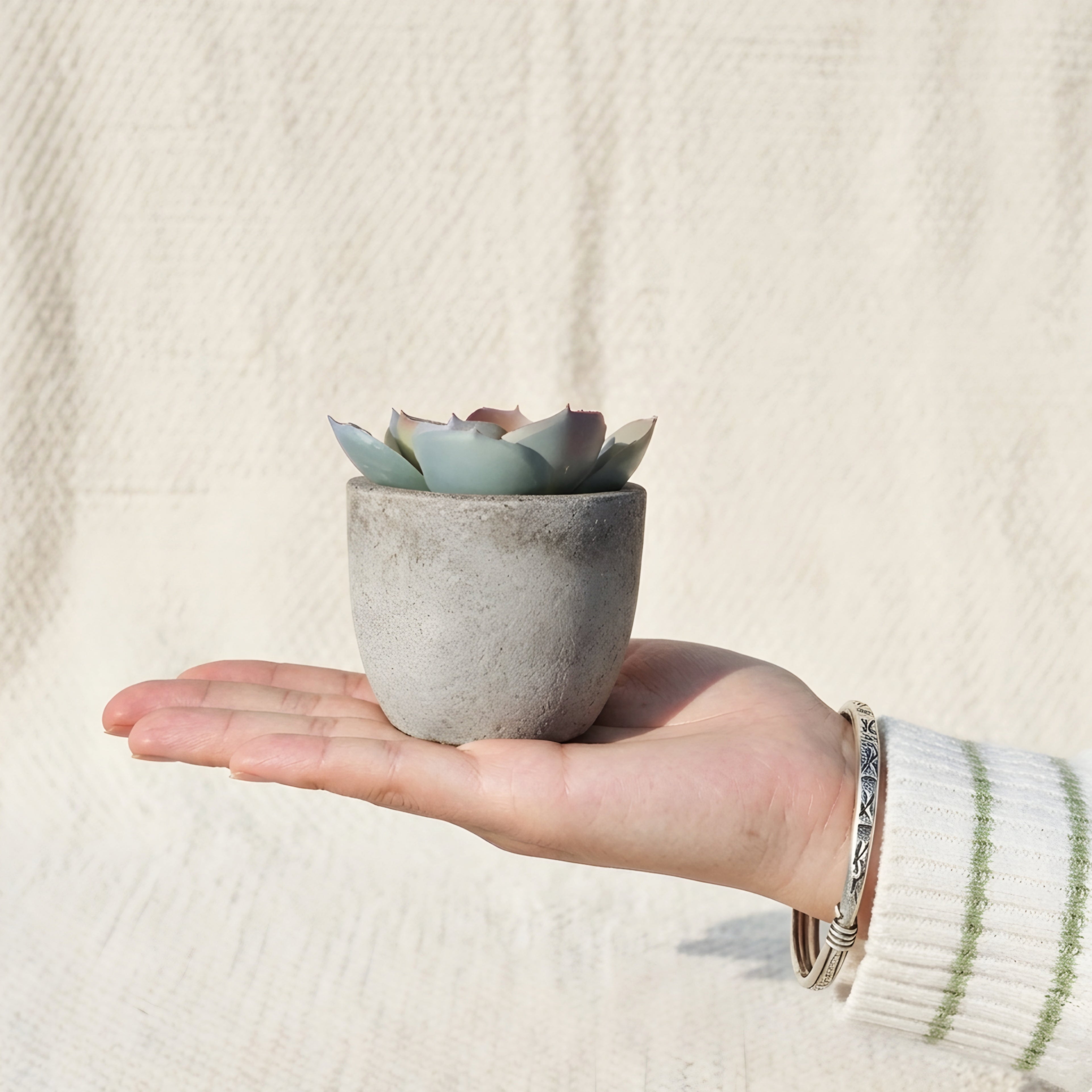 Piedras Mini Succulent Planter Set – Artificial Small Desk Decor Concrete Pot Tabletop Living Room Bedroom Office