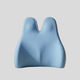 Bunnelle Back Support Pillow – Memory Foam Lumbar Cushion Ergonomic Office Chair Home Bed Mesh Cover