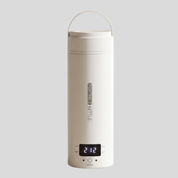 Heatwell Portable Electric Kettle – Mini Travel Water Boiler Stainless Steel 450ml Coffee Tea
