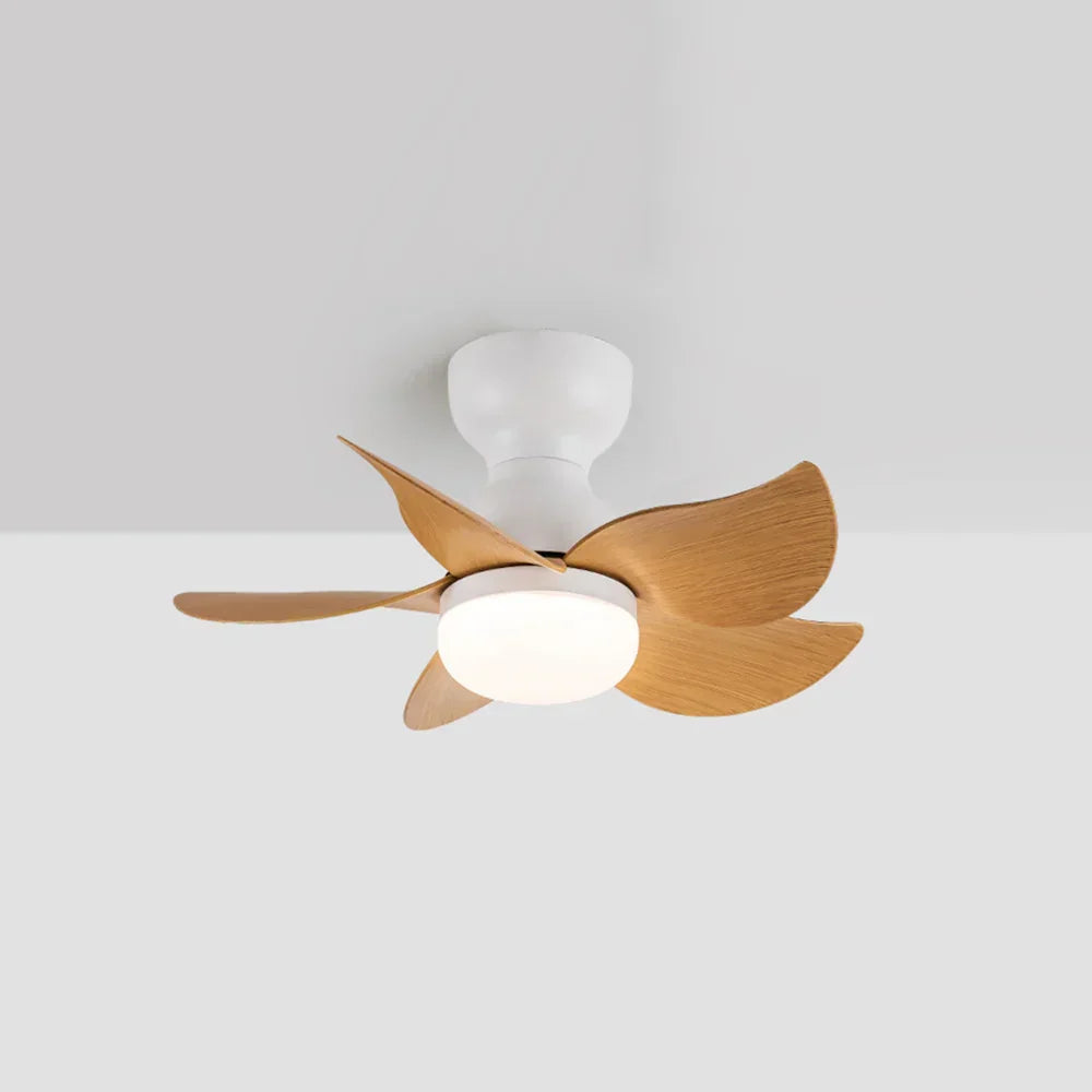 Sussen Modern Ceiling Fan – Nordic LED Light Fixture Bedroom Living Spaces