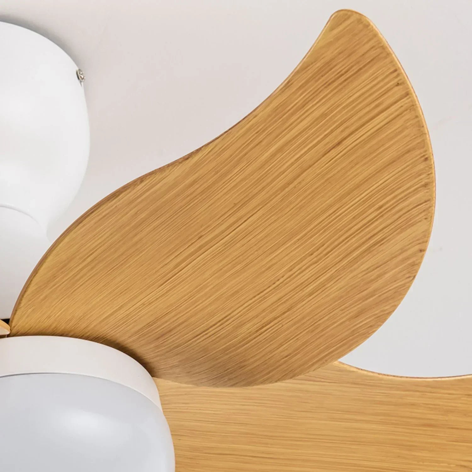 Sussen Modern Ceiling Fan – Nordic LED Light Fixture Bedroom Living Spaces