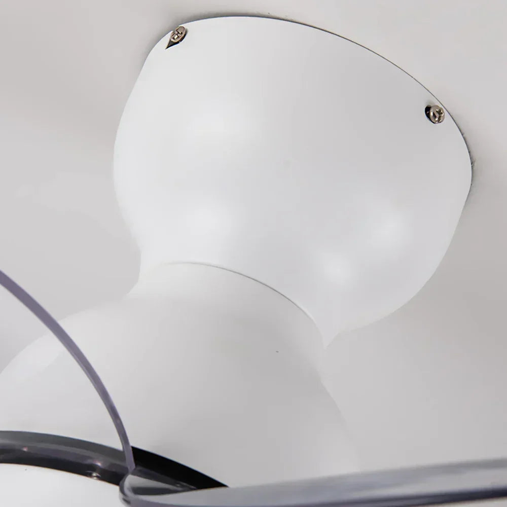 Sussen Modern Ceiling Fan – Nordic LED Light Fixture Bedroom Living Spaces