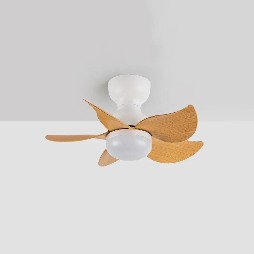 Sussen Modern Ceiling Fan – Nordic LED Light Fixture Bedroom Living Spaces