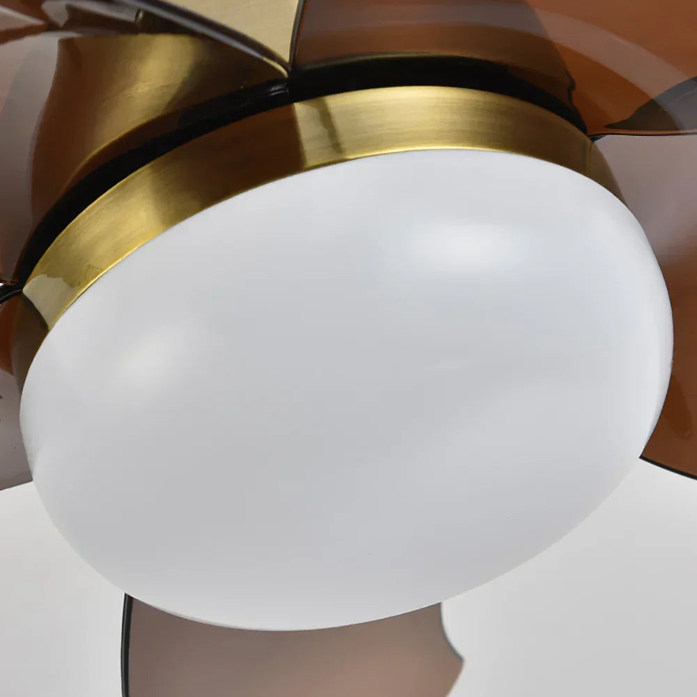 Sussen Modern Ceiling Fan – Nordic LED Light Fixture Bedroom Living Spaces