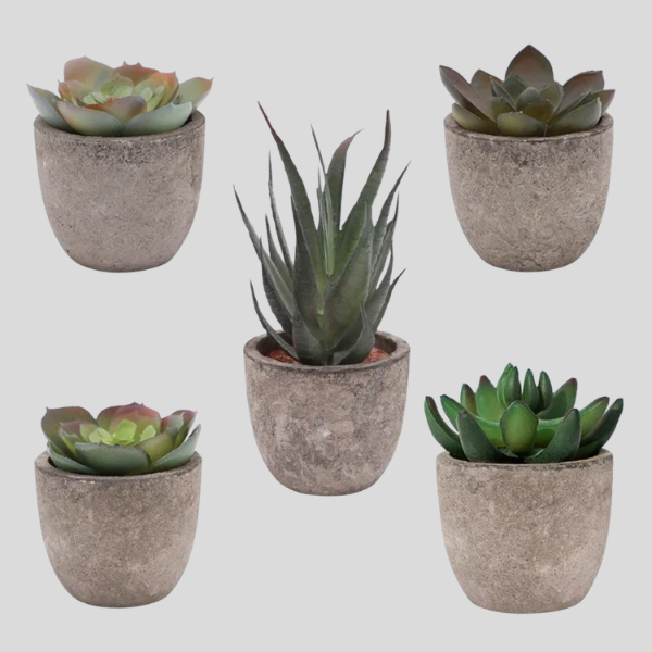 Piedras Mini Succulent Planter Set – Artificial Small Desk Decor Concrete Pot Tabletop Living Room Bedroom Office