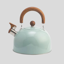 Calder Wood Handle Tea Kettle – Stovetop Whistling Kettle Stainless Steel Mint Green Enamel Finish