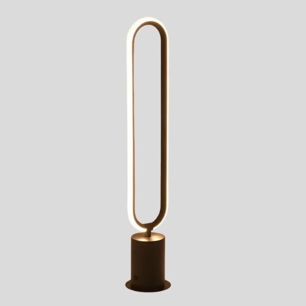 Rine Hoop Floor Lamp – LED Decorative Lighting Living Room Modern Oval Metal Standing Light