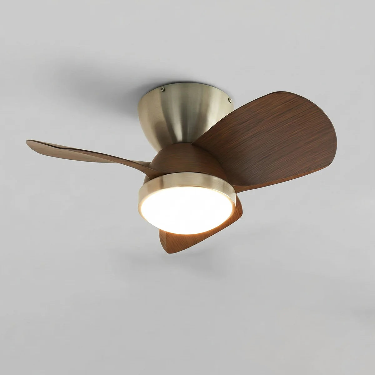 Ruse Pond Ceiling Fan Light – LED Ceiling Fan Light